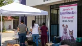 Campaña gratuita de esterilización beneficiará a colonias de Tecomán el 11 de agosto