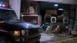 Cateo en Ciudad Juarez deja un tigre de bengala y evidencia en investigación por homicidio y privación de la libertad