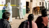 Confirman en Tlaxcala primer caso humano de gusano barrenador; activan cerco sanitario