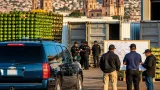 EE. UU. reanuda de forma parcial inspecciones y actividad oficial en zonas aguacateras de Michoacán