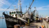 Explosión en barco camaronero en Mazatlán deja un trabajador muerto