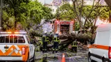 Fuerte aguacero en Xalapa deja árboles caídos, cortes viales y atención de emergencias