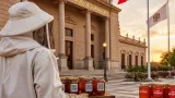 Guanajuato: legisladores advierten que la ley de protección de abejas requiere actualización