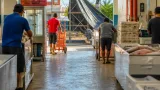 Locatarios regresan al mercado municipal de Zihuatanejo tras ocho meses en la vía pública