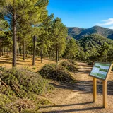 Termina restauración de 327 ha en Sierra de Lavia para reforzar resiliencia forestal