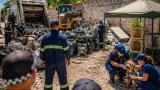 Merida: retiran 30 toneladas de residuos de predio y coordinan rescate de perros