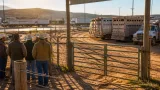 Nogales: reclaman reapertura de estación cuarentenaria que frena exportaciones de ganado
