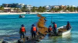Playa del Carmen refuerza su litoral con 5 km de barrera antisargazo