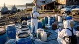 Semar destruye tres narcolaboratorios y asegura más de 3,000 litros de precursores en Topolobampo
