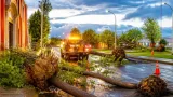 Tormenta en Delicias deja árboles caídos y ráfagas de viento de hasta 80 km/h