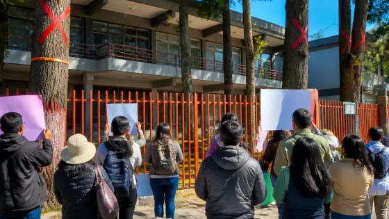 En Tulancingo, organizaciones y comunidad se movilizan contra tala de árboles de 50 años en la Secundaria 1