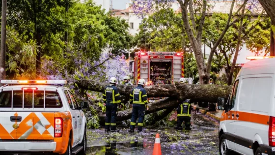 Fuerte aguacero en Xalapa deja árboles caídos, cortes viales y atención de emergencias
