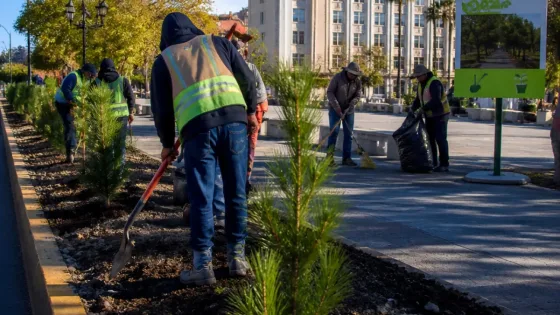 Saltillo impulsa reforestación en bulevares y limpia plazas clave de la ciudad