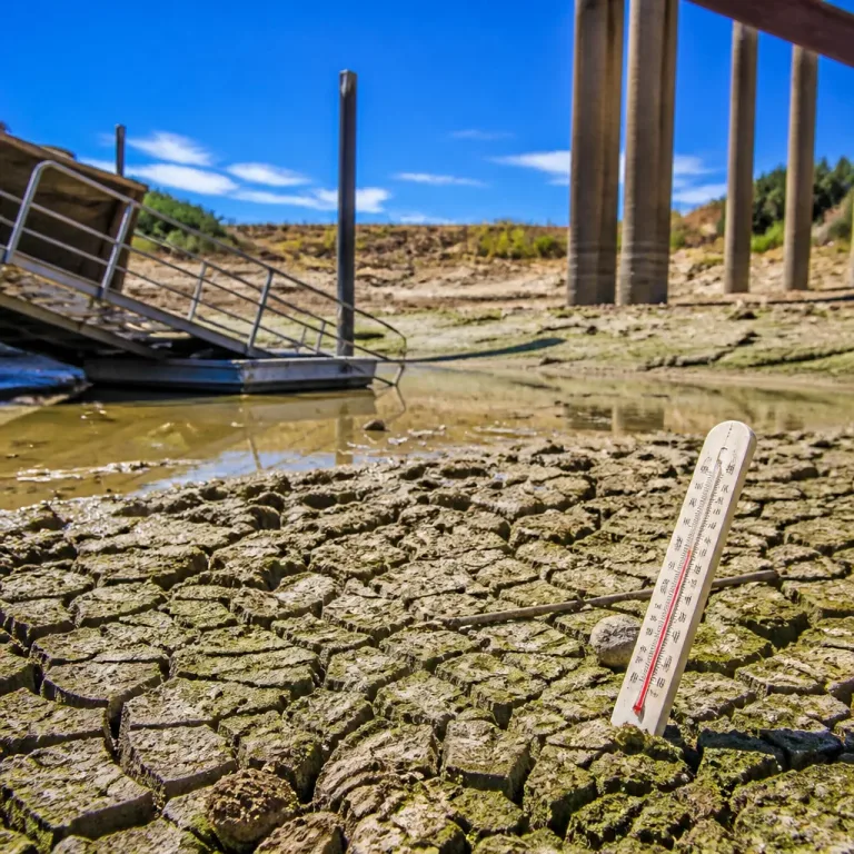 Calores extremos, no solo falta de lluvia, intensifican la sequía en Europa, dice estudio