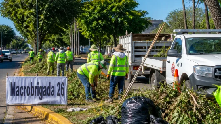 Villa de Alvarez: 26ª Macrobrigada retira más de cinco toneladas de desechos en avenida Niños Héroes